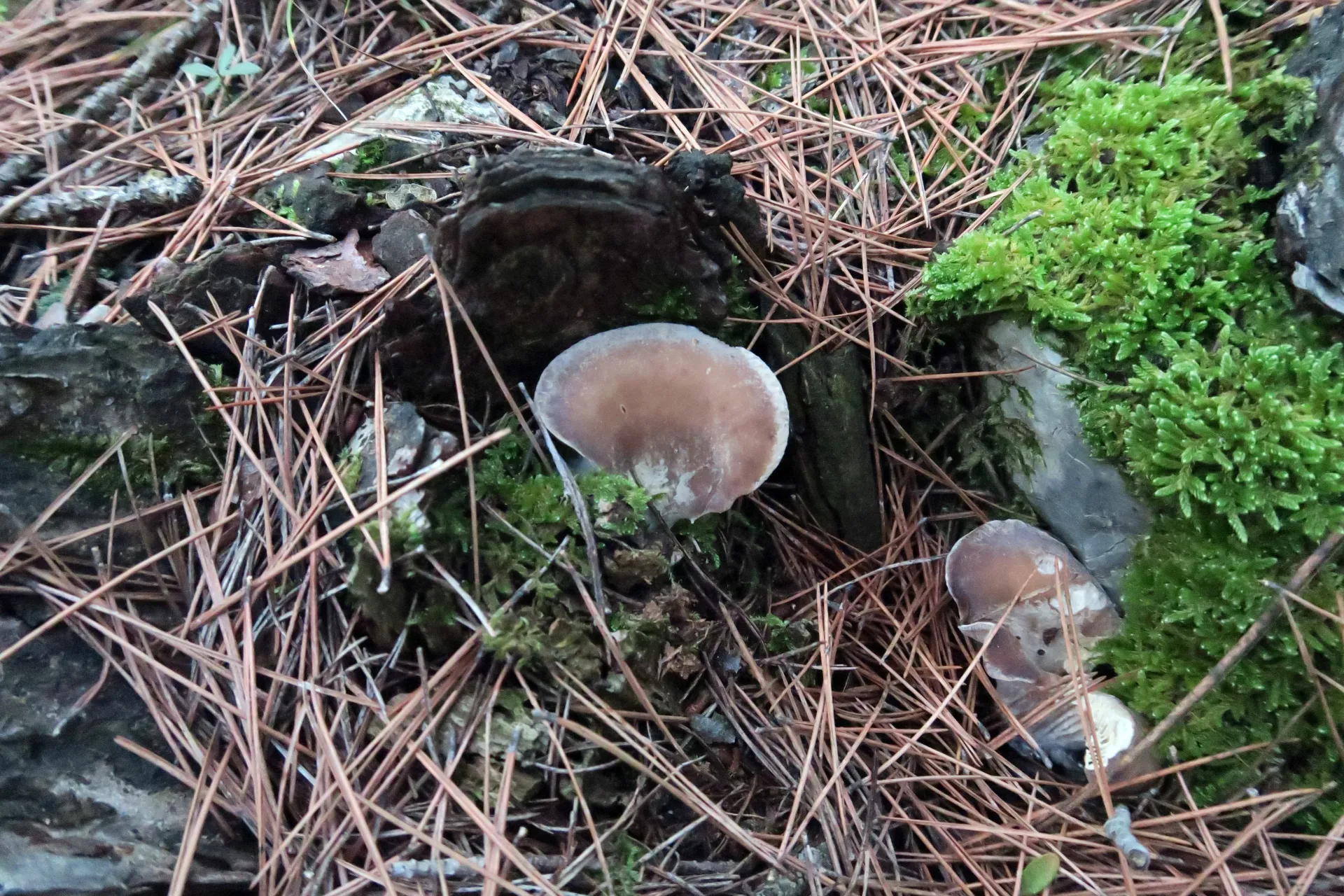 1 -